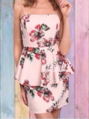 Blithe Blush Pink Floral Peplum Style Lined Dress NWT